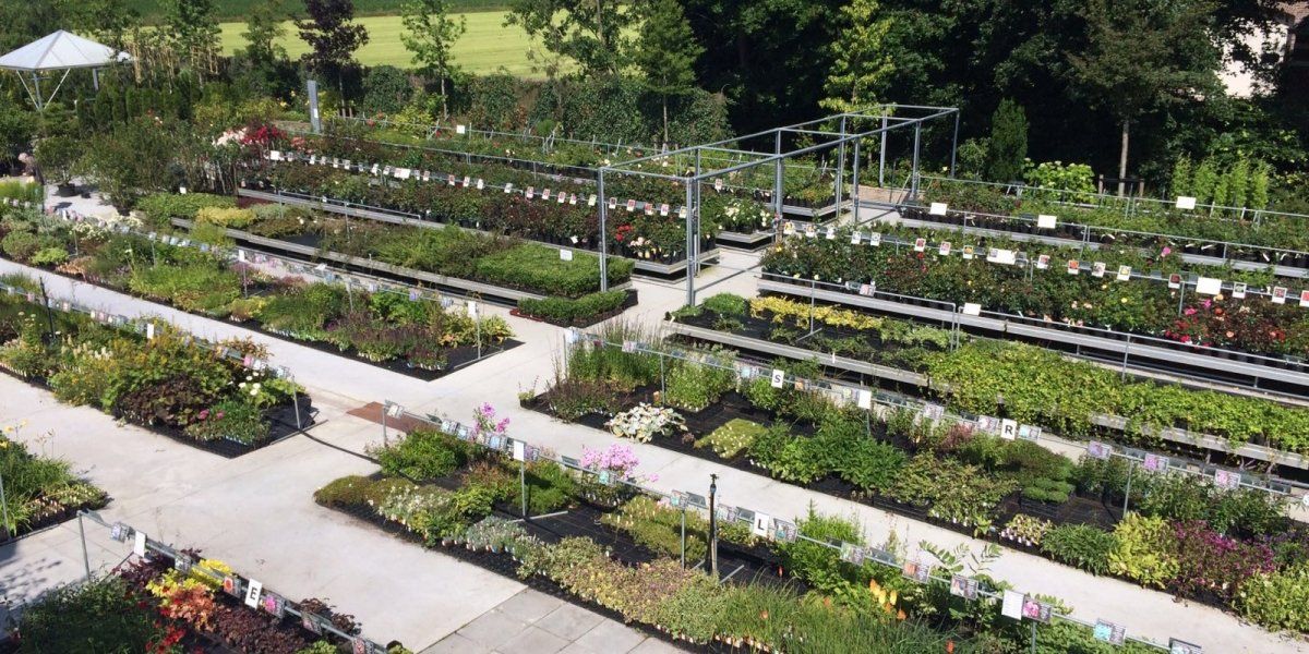 Het hele jaar door een gevarieerd aanbod voor elke tuin!